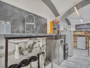Prodej obchodního prostoru, Louny, Pivovarská, 55 m2