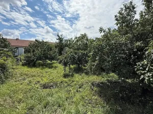 Prodej vinného sklepa, Pasohlávky, 54 m2