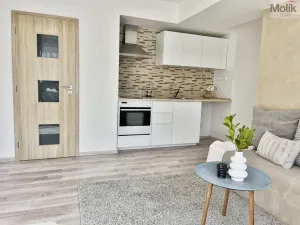 Pronájem bytu 2+kk, Most, Františka Malíka, 39 m2