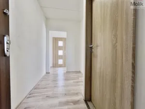 Pronájem bytu 2+kk, Most, Františka Malíka, 39 m2