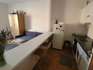 Pronájem bytu 1+kk, Praha - Nusle, Táborská, 40 m2