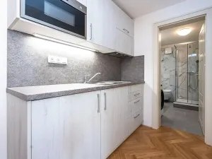 Pronájem bytu 2+kk, Praha - Staré Město, Kozí, 39 m2