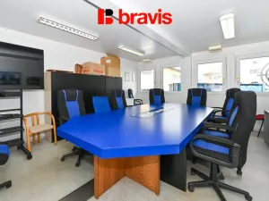 Pronájem skladu, Brno - Horní Heršpice, Pražákova, 301 m2