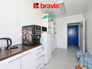 Pronájem skladu, Brno - Horní Heršpice, Pražákova, 301 m2