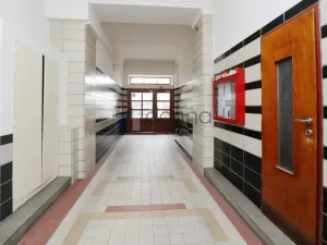 Pronájem bytu 1+kk, Praha, Sobotecká, 30 m2