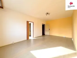Prodej bytu 1+1, Plzeň, Hodonínská, 39 m2