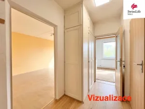 Prodej bytu 1+1, Plzeň, Hodonínská, 39 m2