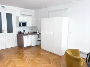 Pronájem bytu 1+kk, Brno, Jakubské náměstí, 41 m2