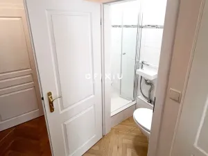 Pronájem bytu 1+kk, Brno, Jakubské náměstí, 41 m2