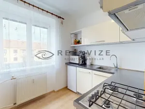 Prodej bytu 1+1, České Budějovice, Hálkova, 30 m2