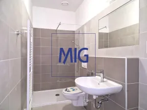 Pronájem bytu 2+kk, Syrovice, 48 m2