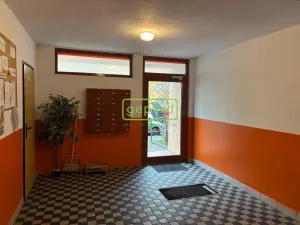 Pronájem bytu 1+1, Ústí nad Labem, Kmochova, 36 m2