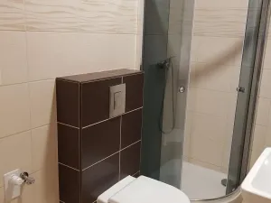 Pronájem bytu 1+kk, Jablonec nad Nisou, Květinová, 28 m2