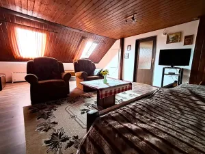 Prodej chalupy, Vysoké Veselí, 290 m2