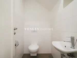 Prodej bytu 4+kk, Praha - Žižkov, Vinohradská, 139 m2