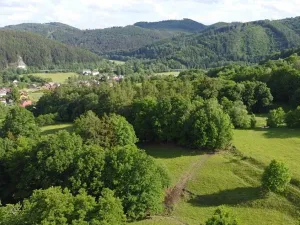 Dražba louky, Zábřeh, 2481 m2