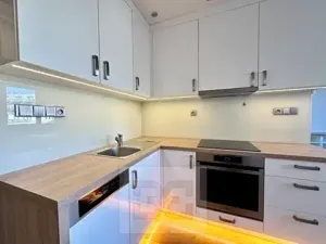 Pronájem bytu 1+kk, Brno, Milady Horákové, 44 m2