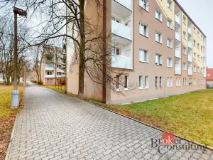 Prodej bytu 2+1, Chomutov, Vrchlického, 55 m2