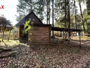 Prodej chaty, Proseč pod Křemešníkem, 40 m2