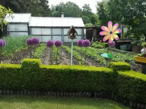 Prodej chaty, Cheb, 32 m2