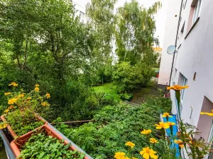 Prodej bytu 1+kk, Praha - Břevnov, Kolátorova, 39 m2