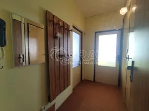 Prodej bytu 1+1, Nová Paka, K Hájku, 35 m2