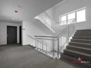 Pronájem bytu 2+kk, Chlumec nad Cidlinou - Chlumec nad Cidlinou IV, Rooseveltova, 60 m2