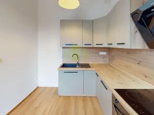 Pronájem bytu 2+1, Prostějov, Vojtěcha Outraty, 55 m2