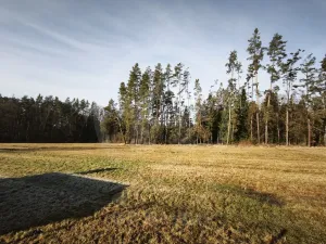 Prodej zahrady, Košice - Doubí, 253 m2