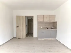 Pronájem bytu 1+kk, Ostrava - Hrabůvka, Krakovská, 22 m2