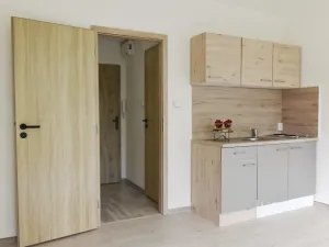 Pronájem bytu 1+kk, Ostrava - Hrabůvka, Krakovská, 22 m2