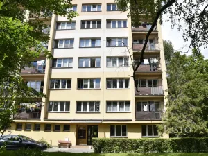 Pronájem bytu 1+kk, Ostrava - Hrabůvka, Krakovská, 22 m2