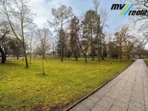 Prodej bytu 2+1, Lovosice, Sady pionýrů, 51 m2