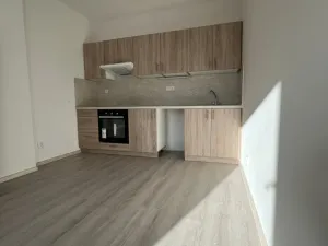 Pronájem bytu 2+kk, Ostrava - Martinov, Kamenná, 51 m2