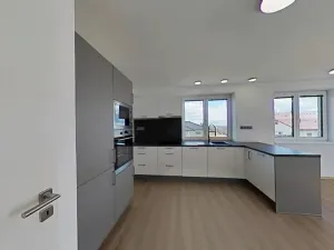 Pronájem bytu 3+kk, Rudíkov, 100 m2
