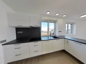 Pronájem bytu 3+kk, Rudíkov, 100 m2