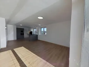 Pronájem bytu 3+kk, Rudíkov, 100 m2