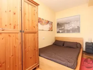 Pronájem bytu 3+kk, Praha - Vinohrady, Slezská, 74 m2