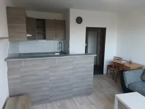Pronájem bytu 2+kk, Liberec, Olbrachtova, 50 m2