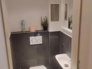 Pronájem bytu 2+kk, Praha, Mánesova, 54 m2