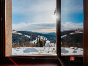 Prodej bytu 2+kk, Strážné, 54 m2