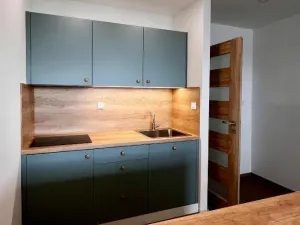 Pronájem bytu 1+kk, Ostrava - Moravská Ostrava, Lechowiczova, 27 m2