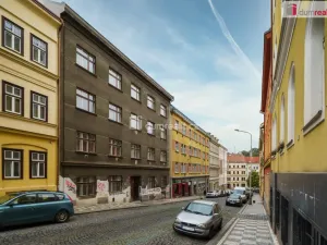 Prodej bytu 1+kk, Praha - Žižkov, Milíčova, 19 m2