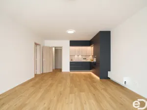 Pronájem bytu 2+kk, Brandýs nad Labem-Stará Boleslav - Brandýs nad Labem, Dřevčická, 61 m2