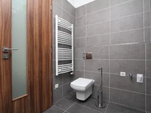 Pronájem bytu 1+kk, Pardubice - Zelené Předměstí, Pod Vinicí, 33 m2