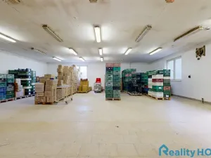 Prodej výrobních prostor, Bechyně, U Vodojemu, 496 m2