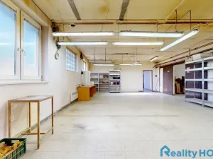 Prodej výrobních prostor, Bechyně, U Vodojemu, 496 m2