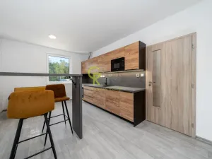Prodej bytu 2+kk, Skorkov - Otradovice, 57 m2