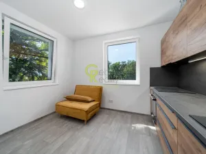 Prodej bytu 2+kk, Skorkov - Otradovice, 57 m2