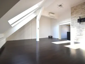 Prodej bytu 2+1, Plzeň - Lobzy, Masarykova, 88 m2